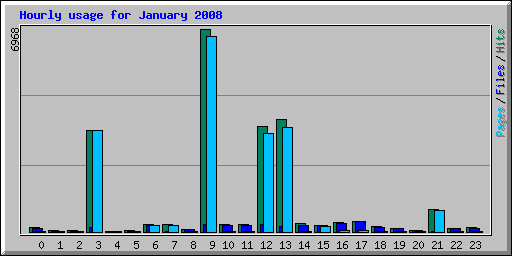 Hourly usage for January 2008